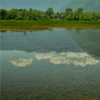 Водная гладь
